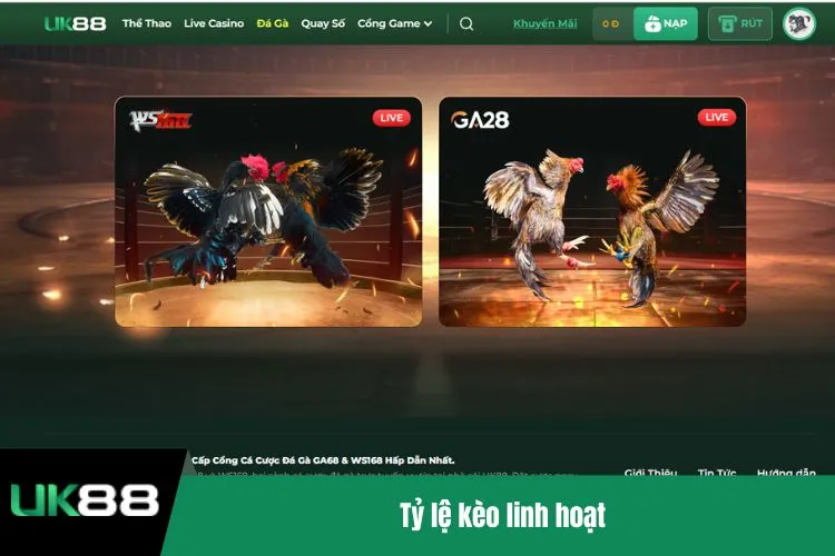Tỷ lệ kèo linh hoạt